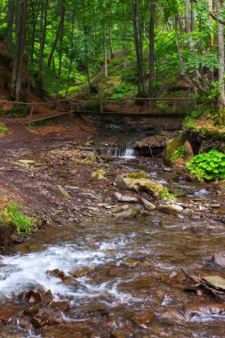 Dere üzerindeki ahşap köprü. Doğal park ormanındaki güzel doğa manzarası. Sıcak bir yaz gününde kayaların arasında su akar. Ukrayna Karpatlarındaki şelale shypit 'ine giden yol