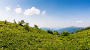 Güneşli bir öğleden sonra çimenli bir çayır. Yazın güzel Karpatya manzarası. Manzara. uzak kırsal vadiye. Tepeler ve yamaçlar Runa Dağı, Ukrayna