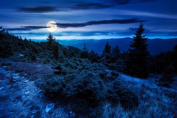 夜晚穿过山岗 草地上有树木的风景 有风吹日晒的青草 有满月的光 在多云的天空下远处的山脊 喀尔巴阡山脉迷人的风景 — 图库照片
