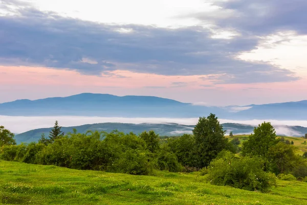 Paesaggio Campagna All Alba Prati Erbosi Campi Rurali Pendii Boschivi — Foto Stock