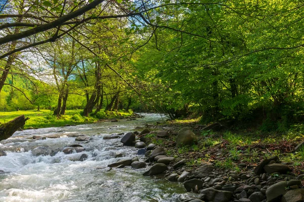 Quelle Des Turiya Flusses Frühling Schöne Naturlandschaft Tal Landschaft Mit — Stockfoto