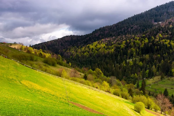 Campagne Montagneuse Printemps Beaux Paysages Naturels Avec Des Collines Ondulées — Photo