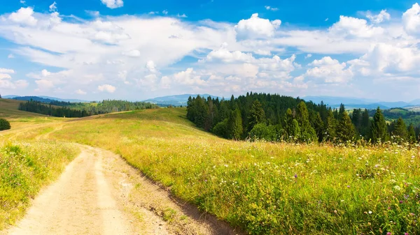 Pfad Durch Wiesen Ländliche Landschaft Mit Sanften Hügeln Und Weiden — Stockfoto