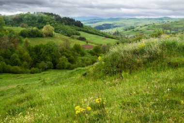 İlkbaharda Karpatya kırsal arazisi. Çimenli çayırlar, kırsal alanlar ve tepelerdeki orman yamaçları vadideki uzak köye doğru yuvarlanıyor. Bulutlu yağmurlu hava ve uzak tepenin üzerindeki bulutlar