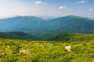 Dağ manzarası çok güzel. Yeşil çim çayırlarındaki taşlar ve kayalar. Güzel yaz doğası arka planı akşam ışığında. Manzaralı vadi manzarası. Bulutlu gökyüzü