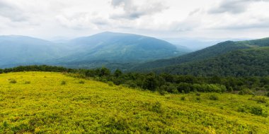 Yeşil Dağ Vadisi 'nin üzerindeki bulutlu sabah manzarası. İlkbaharda Karpat doğa manzarası, Ukrayna. Ormanlık tepeler ve yamaçlardaki çimenlik çayırlar. Yağmurlu hava