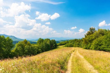 Yeşil çayırları ve ağaçları olan cennet gibi bir dağ manzarası. Yazın harikalar diyarı manzarasının panoramik manzarası. Güneşli bir günde çimenli arazide kır yolu. Akşam ışığında kabarık bulutlu gökyüzü