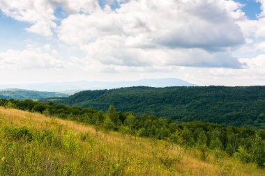 Taze yeşil çayırları olan karpatya Alpleri 'nin cennet manzarası. Tepelerdeki orman mavi gökyüzündeki bulutların altında. Transcarpathia, Ukrayna, Avrupa