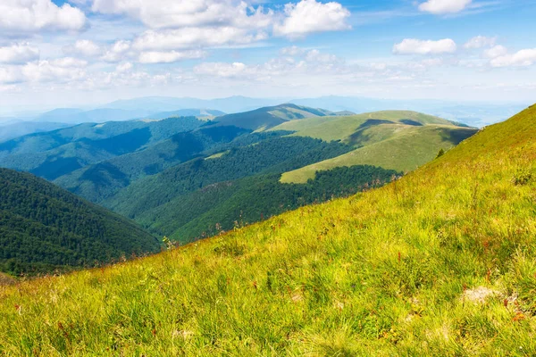 Views Borzhava Mountain Ridge Summer Beautiful Nature Transcarpathia Ukraine Europe — Stock Photo, Image