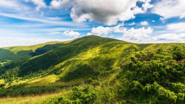 Dağ vadisiyle doğal yaz manzarası. Taze yeşil çayırları olan karpatya Alpleri 'nin cennet manzarası. Ilık güneşli hava, masmavi gökyüzünde muhteşem kabarık bulutlar