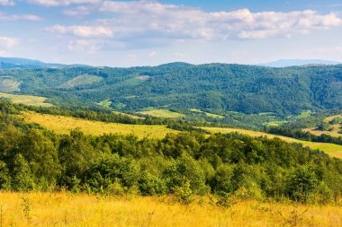 Cennet gibi bir yaz gününde dağ manzarası. Capathian Alpleri 'nin kırsal arazisinde taze yeşil çayırlar ve orman tepeleri var. Uzak vadideki köy. Bulutlar mavi gökyüzünde öğleden sonra ışığında