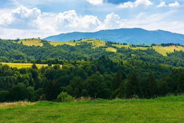 Hermoso Paisaje Rural Montañoso Verano Paisaje Idílico Los Alpes Carpáticos —  Fotos de Stock