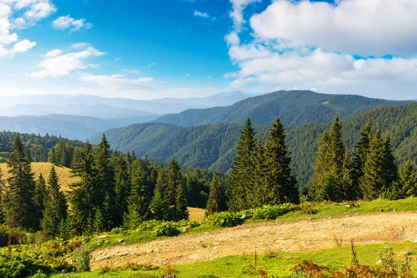 Idylliska Landskap Karpatiska Alperna Med Skogsklädda Kullar Bergsdal Vid Soluppgången — Stockfoto