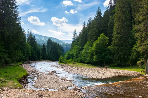 Zomer Landschap Met Bergrivier Natuur Landschap Met Bos Aan Graskust — Stockfoto