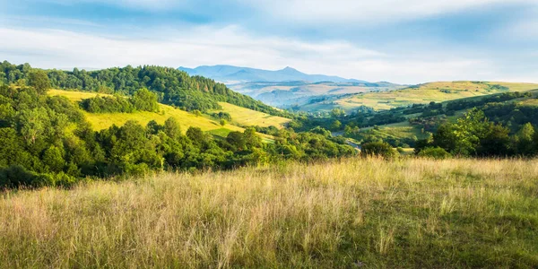 Nádherná Krajina Údolí Karpatských Alpách Idylický Venkovský Pohled Jemně Zvlněnou — Stock fotografie