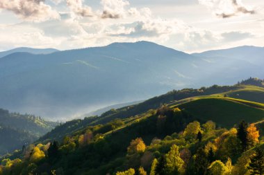 Karpatya kırsal arazisi ilkbaharda gün batımında. Çimenli tepelerdeki ağaçlar akşam ışığında uzak tepelere doğru yuvarlanıyor. Gökyüzünde dinamik bulut oluşumları. güzel doğa arkaplanı