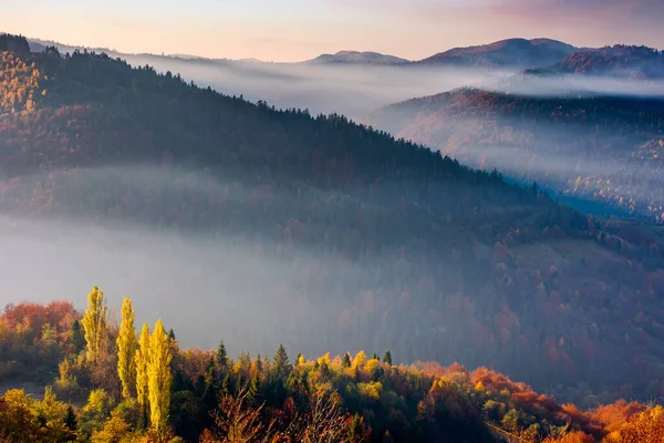 Herfstlandschap Met Mist Vallei Bij Zonsopgang Berglandschap Het Ochtendlicht Bomen — Stockfoto