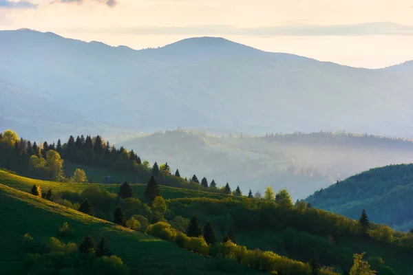 Landschaft Der Karpaten Schöne Naturkulisse Einem Sonnigen Frühlingsabend Bäume Auf — Stockfoto