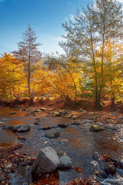 Paisagem Outono Com Rio Bela Paisagem Rural Nascer Sol Pedras — Fotografia de Stock