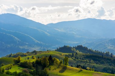 Karpatya dağlarının kırsal manzarası. Baharda güneşli bir öğleden sonra güzel yeşil bir manzara. Çimenli tepelerde ağaçlar ve akşam ışığında gökyüzünde kabarık bulutlar.