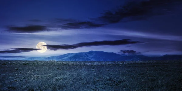 Prado Montanha Alpino Verão Noite Bela Paisagem Carpathians Luz Lua — Fotografia de Stock