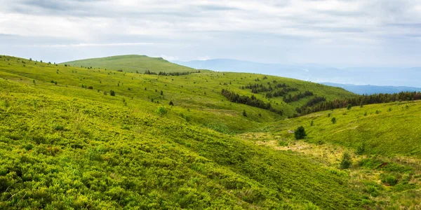 Zelené Zvlněné Kopce Horské Runy Krásná Přírodní Krajina Karpatských Hor — Stock fotografie