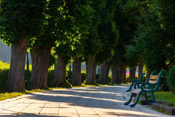 Slunečné Ráno Kaštanovém Nábřeží Vysoké Stromy Ranním Světle Lavička Straně — Stock fotografie