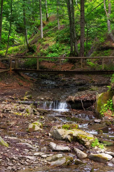 Fahíd Patak Felett Gyönyörű Természet Táj Erdőben Természeti Park Víz — Stock Fotó