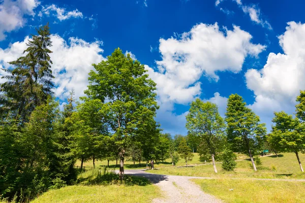 Country Road Forested Countryside Beautiful Summer Mountain Landscape Sunny Day — Stock Photo, Image