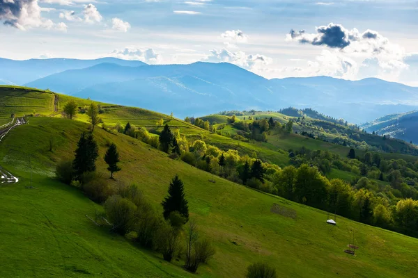 Αγροτικό Τοπίο Των Καρπαθίων Βουνών Όμορφο Καταπράσινο Τοπίο Ένα Ηλιόλουστο — Φωτογραφία Αρχείου