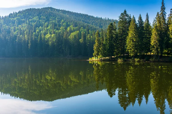 Cena Livre Com Lago Calmo Temporada Verão Reflexão Floresta Verde — Fotografia de Stock