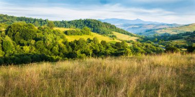Karpat Alplerindeki güzel vadi manzarası. Nazikçe yuvarlanan yama arazisinin huzurlu kırsal manzarası. Sabah ışığında dağlık kırsal alan manzarası. Uzakta yüksek tepe ile tepe