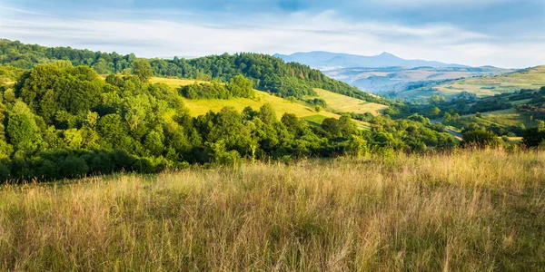 Karpat Alplerindeki güzel vadi manzarası. Nazikçe yuvarlanan yama arazisinin huzurlu kırsal manzarası. Sabah ışığında dağlık kırsal alan manzarası. Uzakta yüksek tepe ile tepe
