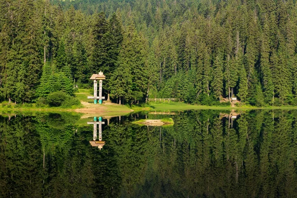 夏に湖と自然景観 水の中の森林反射です シネビルの風光明媚な旅行の背景 ウクライナ 青い空の下の緑の屋外環境 — ストック写真