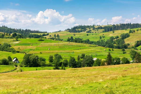 Paisaje Rural Montañoso Día Soleado Árboles Campos Las Colinas Cubiertas — Foto de Stock