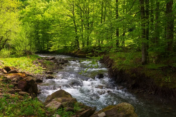 Schneller Wasserfluss Buchenwald Grüne Landschaft Mit Felsen Und Bäumen Ufer — Stockfoto