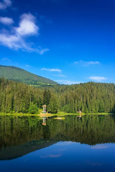 Yazın sakin göl manzarası. Sudaki orman yansıması. Synevyr, Ukrayna 'nın güzel seyahat geçmişi. Sakin doğa sahnesi. yeşil açık hava ortamı