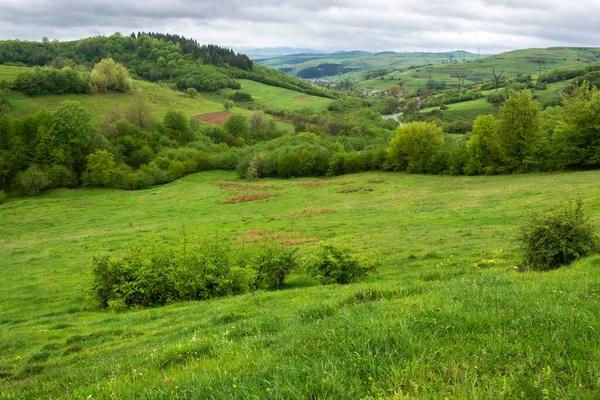 Карпатский Сельский Пейзаж Весной Травянистые Луга Сельские Поля Лесистые Склоны — стоковое фото