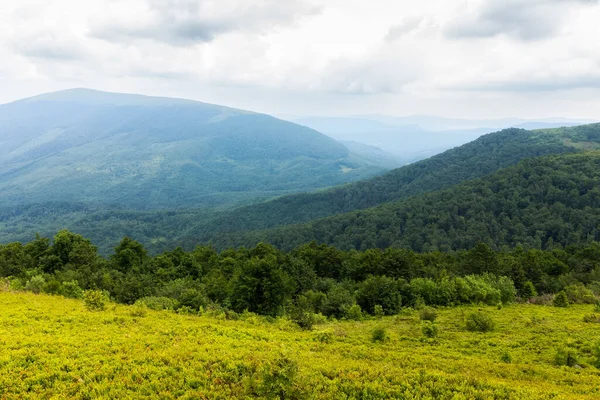 Yeşil Dağ Vadisi 'nin üzerindeki bulutlu sabah manzarası. İlkbaharda Karpat doğa manzarası, Ukrayna. Ormanlık tepeler ve yamaçlardaki çimenlik çayırlar. Yağmurlu hava