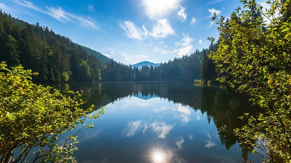 Paisagem Tranquila Com Lago Verão Reflexão Florestal Água Calma Fundo — Fotografia de Stock