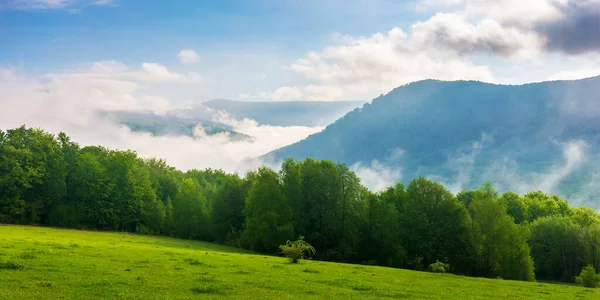 Zelená Modrá Krajina Horách Travnatá Louka Les Kopci Mlha Údolí — Stock fotografie