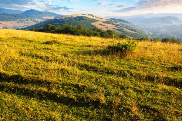 Sabah ışığında tepede çimenli bir çayır. Gün doğumunda Karpat Dağları 'nın güzel kırsal manzarası. Kırsal vadi uzak tepenin eteklerinde