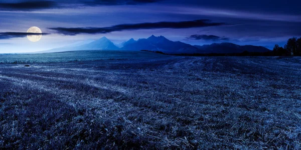 Prachtig Landelijk Landschap Van Slowakije Nachts Idyllisch Landschap Met Velden — Stockfoto