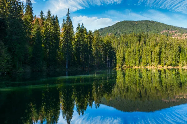 Landscape Mountain Lake Summer Forest Reflection Water Scenic Travel Background — стоковое фото