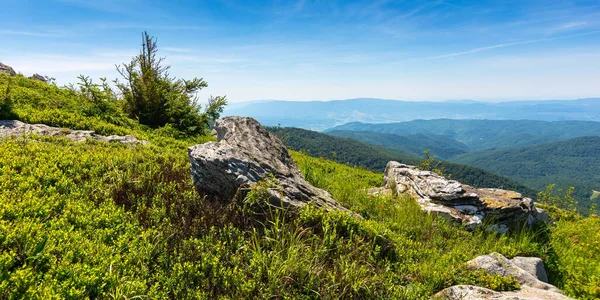 Ağaçlar ve kayalar yeşil otlak bir çayırda. Dağlardaki güzel yaz manzarası. Gökyüzünde bulutlar olan güneşli bir hava