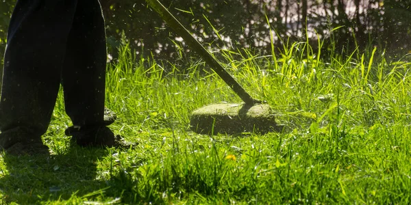 庭の設備で芝生のトリミング 春の裏庭の緑の草のメンテナンス — ストック写真
