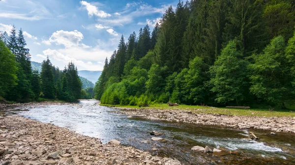 Dağ Nehri Ile Yaz Manzarası Çimenli Sahilde Çakıl Taşlarıyla Orman — Stok fotoğraf