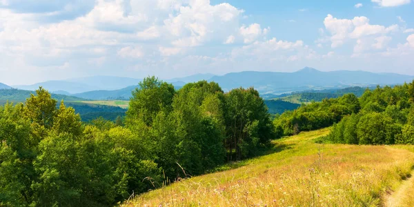 Идиллический Альпийский Пейзаж Зелеными Лугами Деревьями Панорамный Вид Красивые Пейзажи — стоковое фото