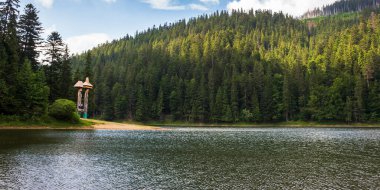 Yazın sakin göl manzarası. Sudaki orman yansıması. Synevyr, Ukrayna 'nın güzel seyahat geçmişi. Yeşil doğa sahnesi. Sakin bir açık hava ortamı