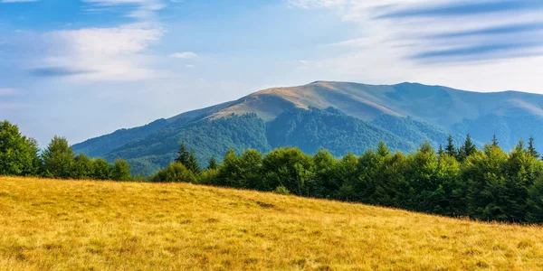 Karpat Alpleri Nin Güzel Dağ Manzarası Tepenin Üzerinde Yeşil Çayırlar — Stok fotoğraf